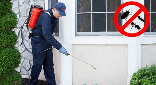 Hanak Sivrisinek İlaçlama böcek ilaçlama ve haşere kontrolü — ilaclama-tr.com